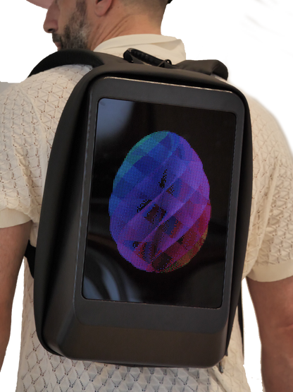 LED Flat Screen Backpack